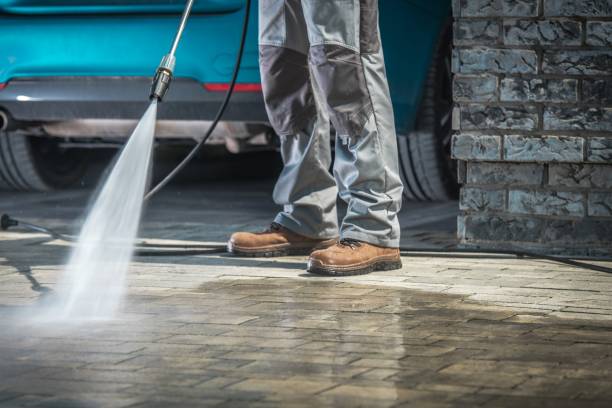 Best Gutter Cleaning  in Eyota, MN